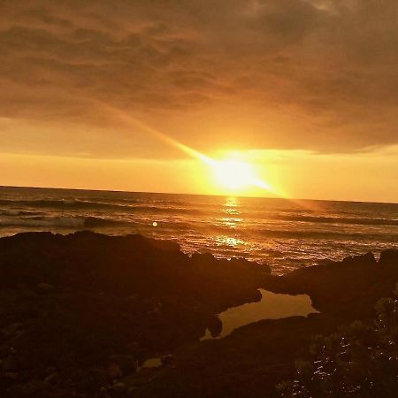 Unwind On Your Fantasy Hawaiian Vacation- 1Bd/1Ba Condo In Kailua-Kona, Hawaii Zewnętrze zdjęcie