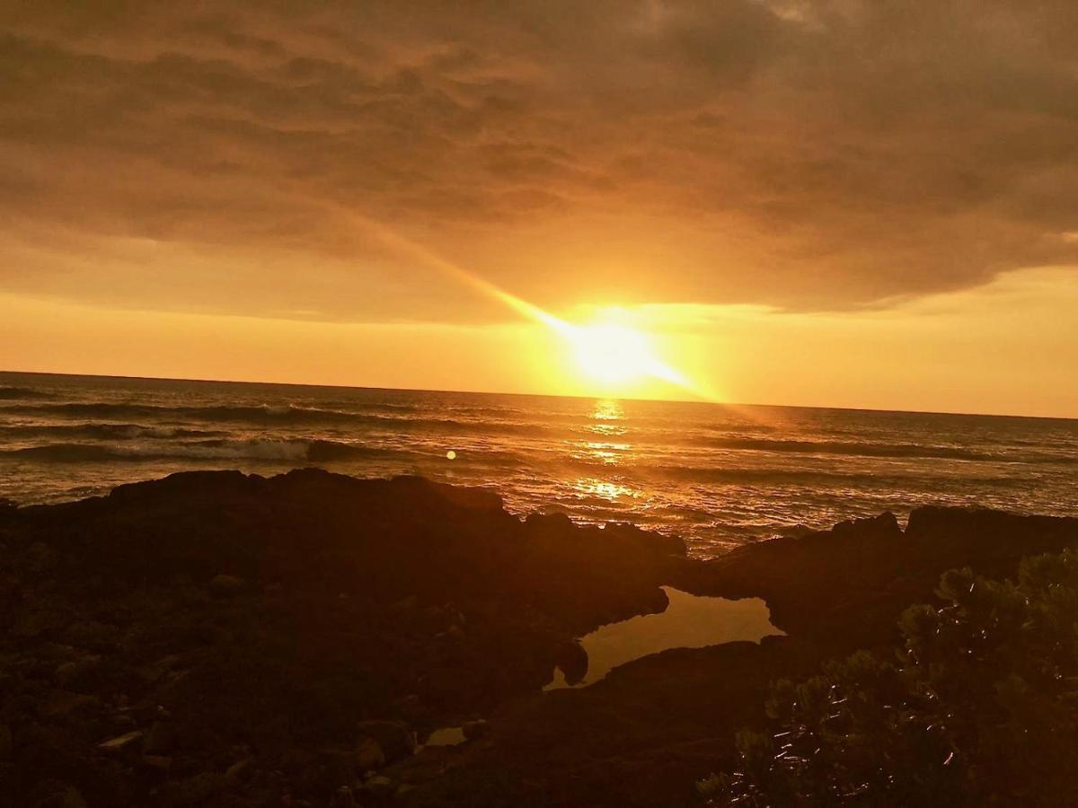 Unwind On Your Fantasy Hawaiian Vacation- 1Bd/1Ba Condo In Kailua-Kona, Hawaii Zewnętrze zdjęcie
