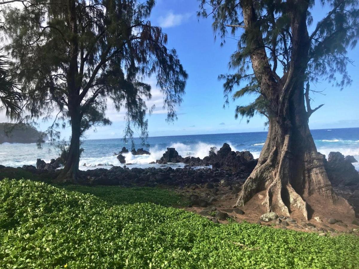 Unwind On Your Fantasy Hawaiian Vacation- 1Bd/1Ba Condo In Kailua-Kona, Hawaii Zewnętrze zdjęcie