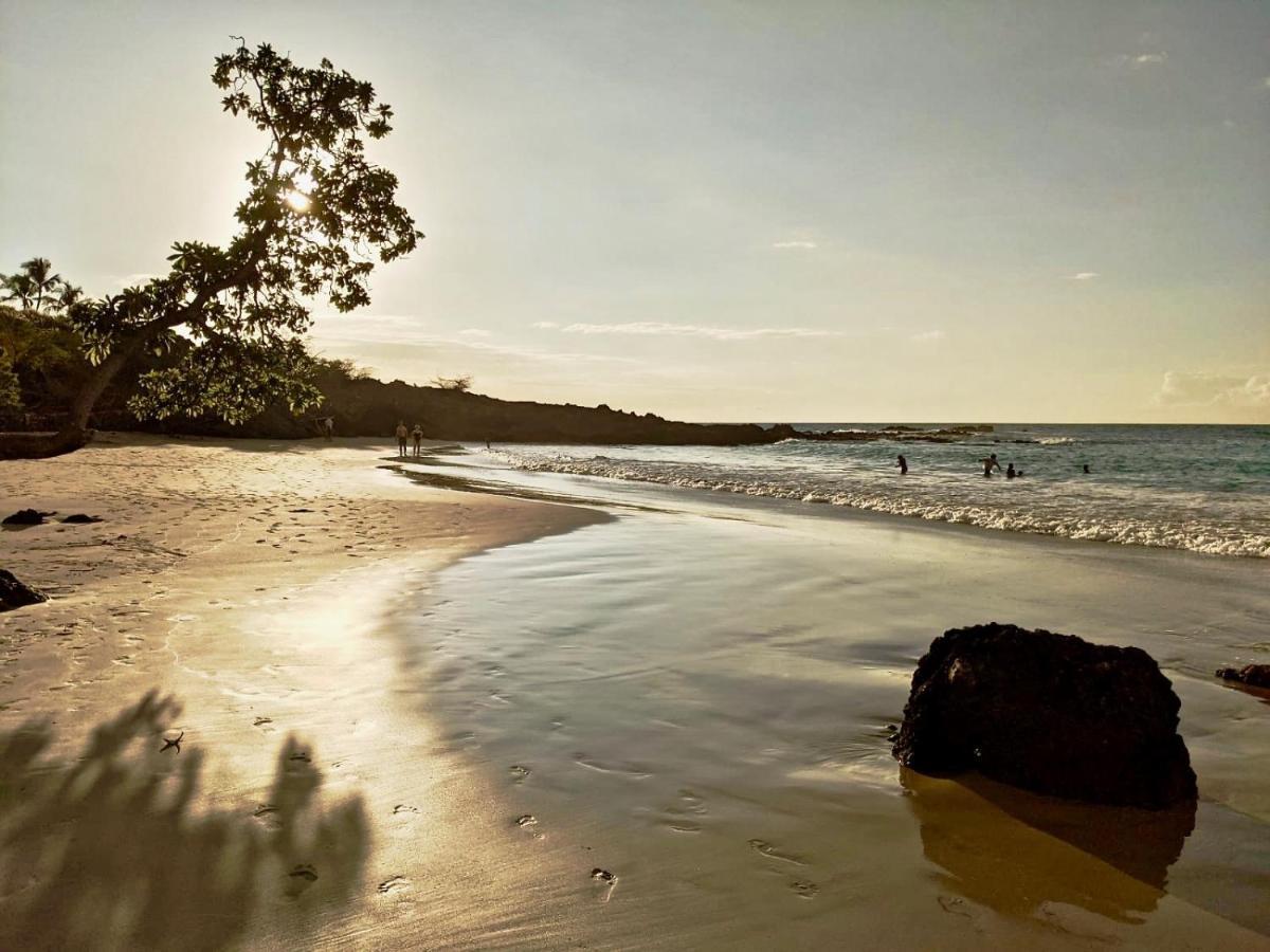 Unwind On Your Fantasy Hawaiian Vacation- 1Bd/1Ba Condo In Kailua-Kona, Hawaii Zewnętrze zdjęcie